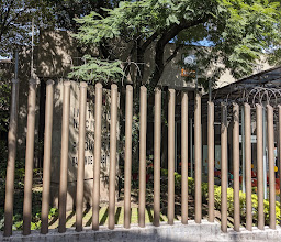 National Institute of Psychiatry Ramon de la Fuente Muñiz photo