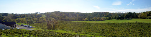 Winery «Pearmund Cellars», reviews and photos, 6190 Georgetown Rd, Broad Run, VA 20137, USA