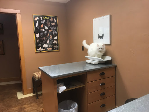 Healdsburg Veterinary Hospital image
