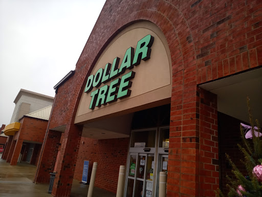 Dollar Store «Dollar Tree», reviews and photos, 340 W Army Trail Rd #120, Bloomingdale, IL 60108, USA