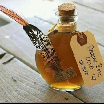 Spell Caste r / العشبية - Spell Caster / Herbalist