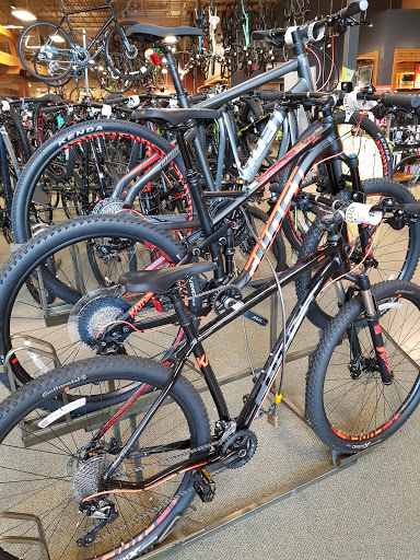 Camping Store «REI», reviews and photos, 17717 Tomball Pkwy, Houston, TX 77064, USA