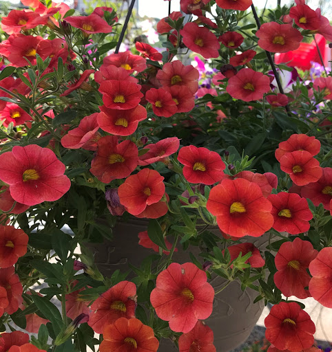 Hardware Store «J & W Hardware Inc», reviews and photos, 1060 Old Trail Rd, Goldsboro, PA 17319, USA