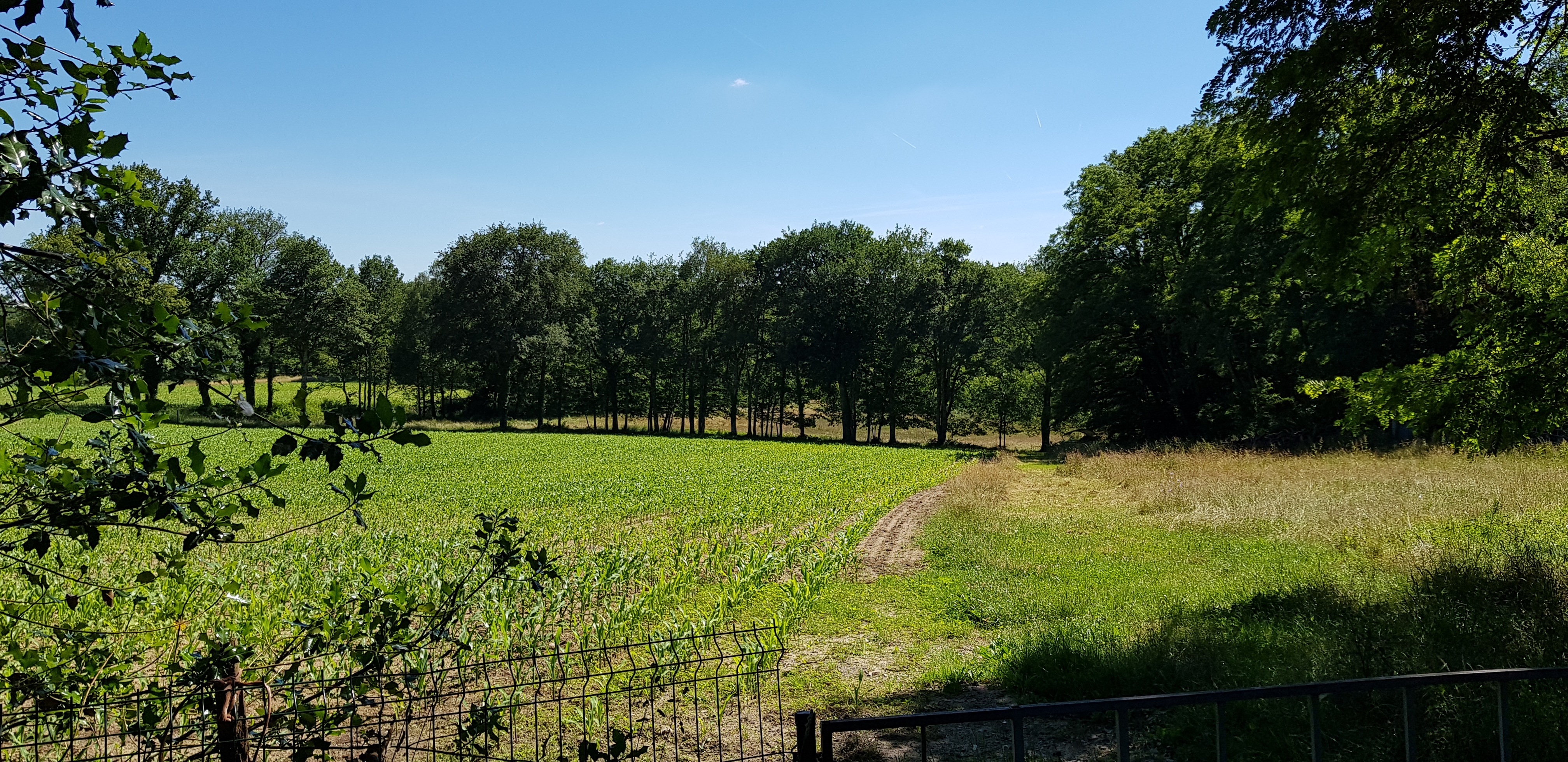 Photo n° 5 de l'avis de Raphael.r fait le 22/06/2018 à 18:50
