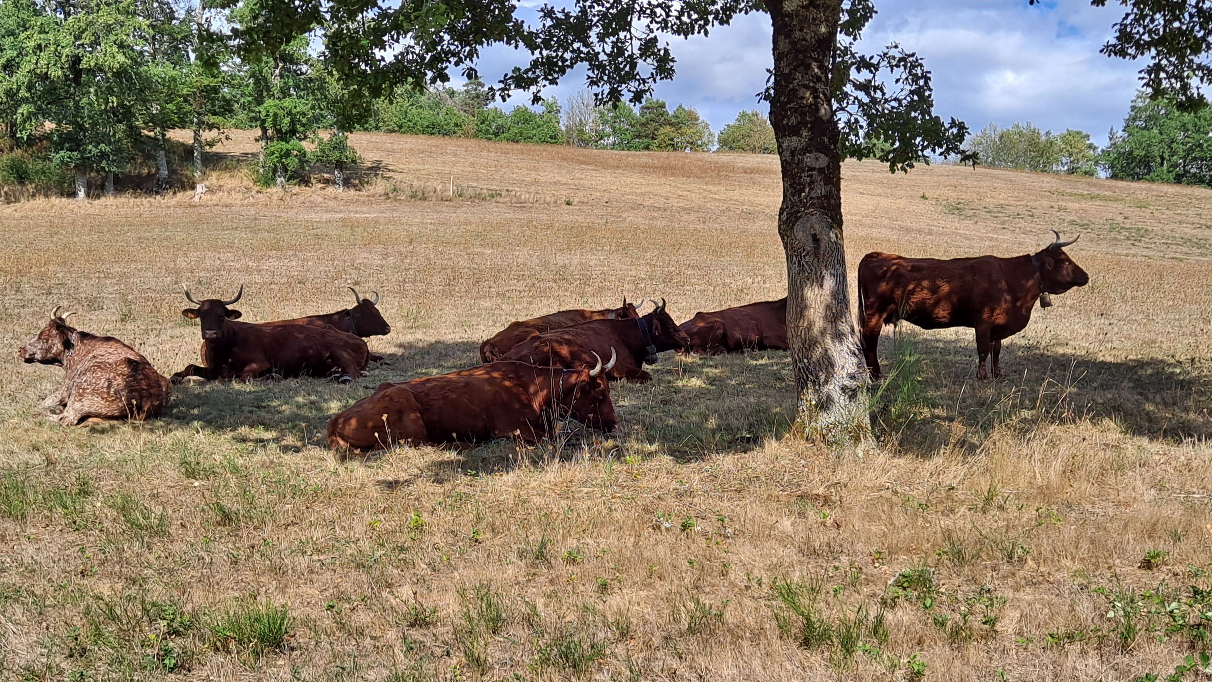 Photo n° 8 de l'avis de Jean-Luc. fait le 19/09/2022 à 16:45