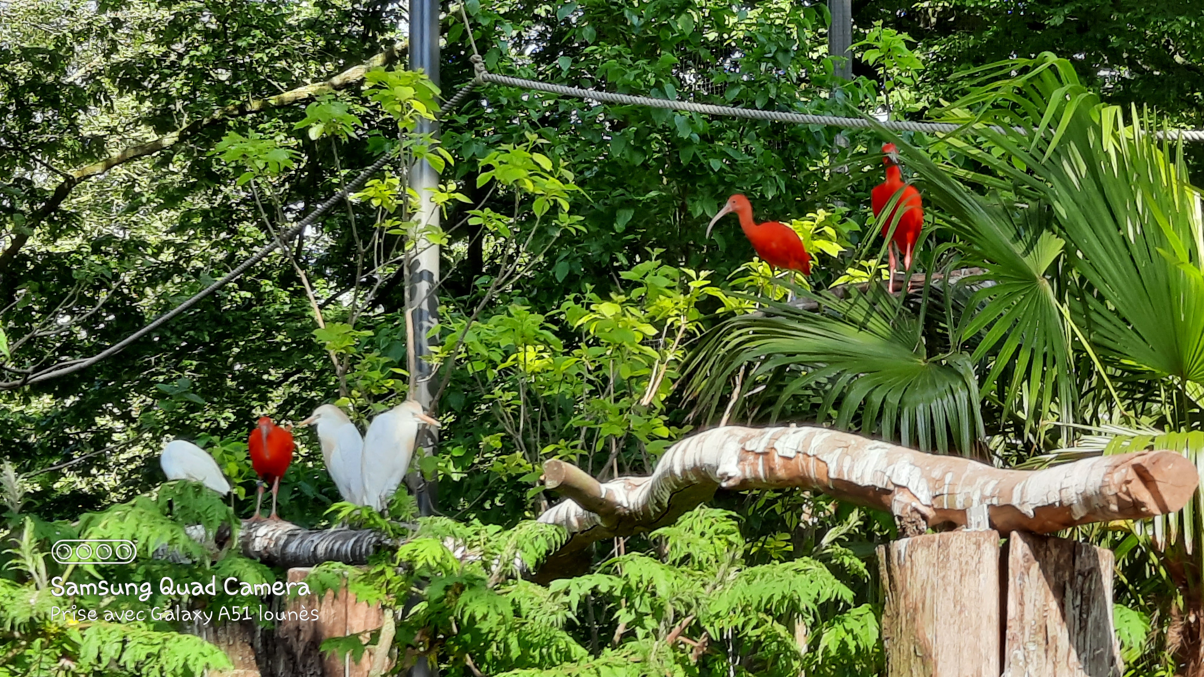 Photo n° 10 de l'avis de Lounes. fait le 02/06/2021 à 21:26