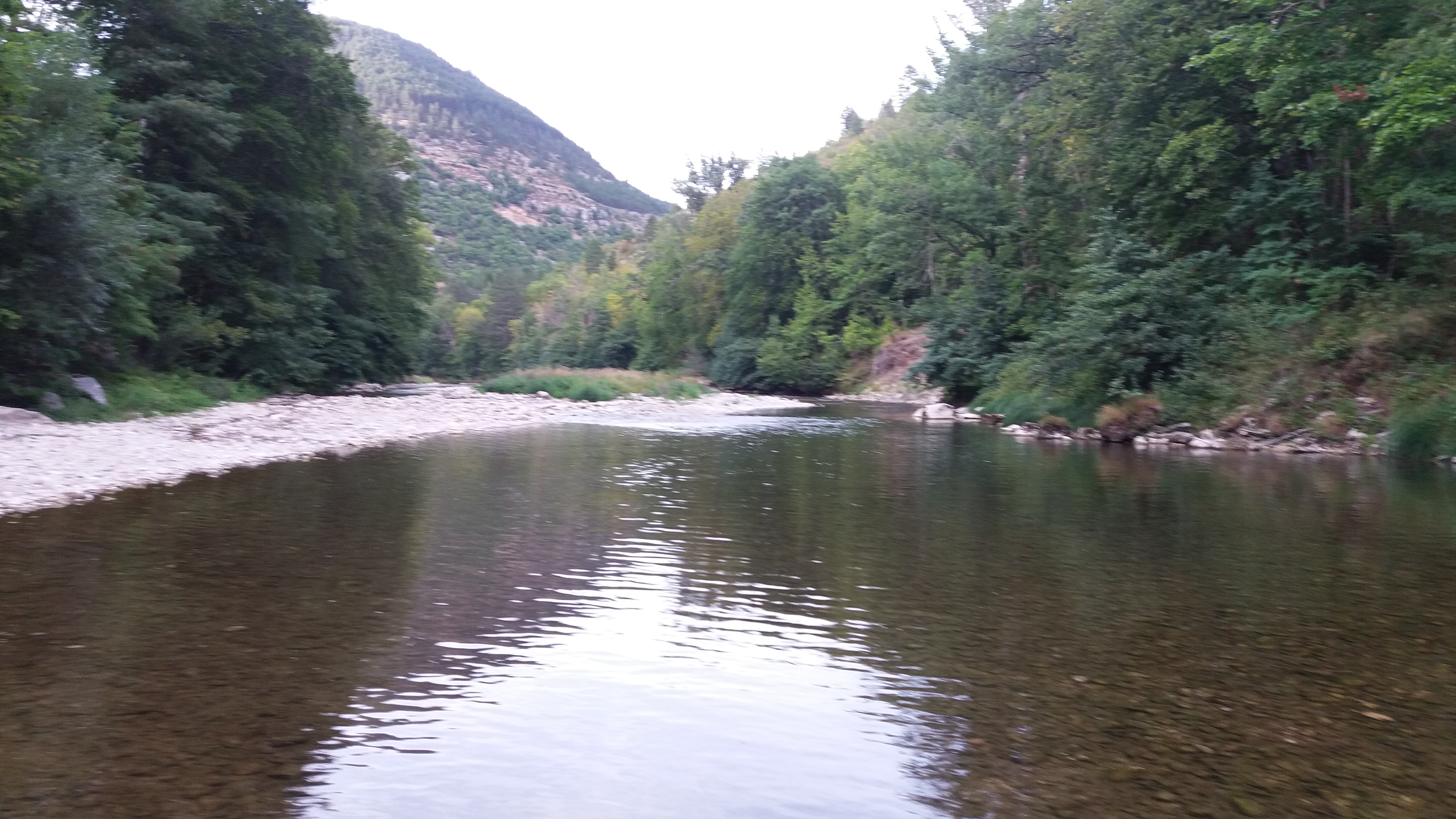 Photo n° 35 de l'avis de Nicolas.e fait le 11/09/2017 à 14:35