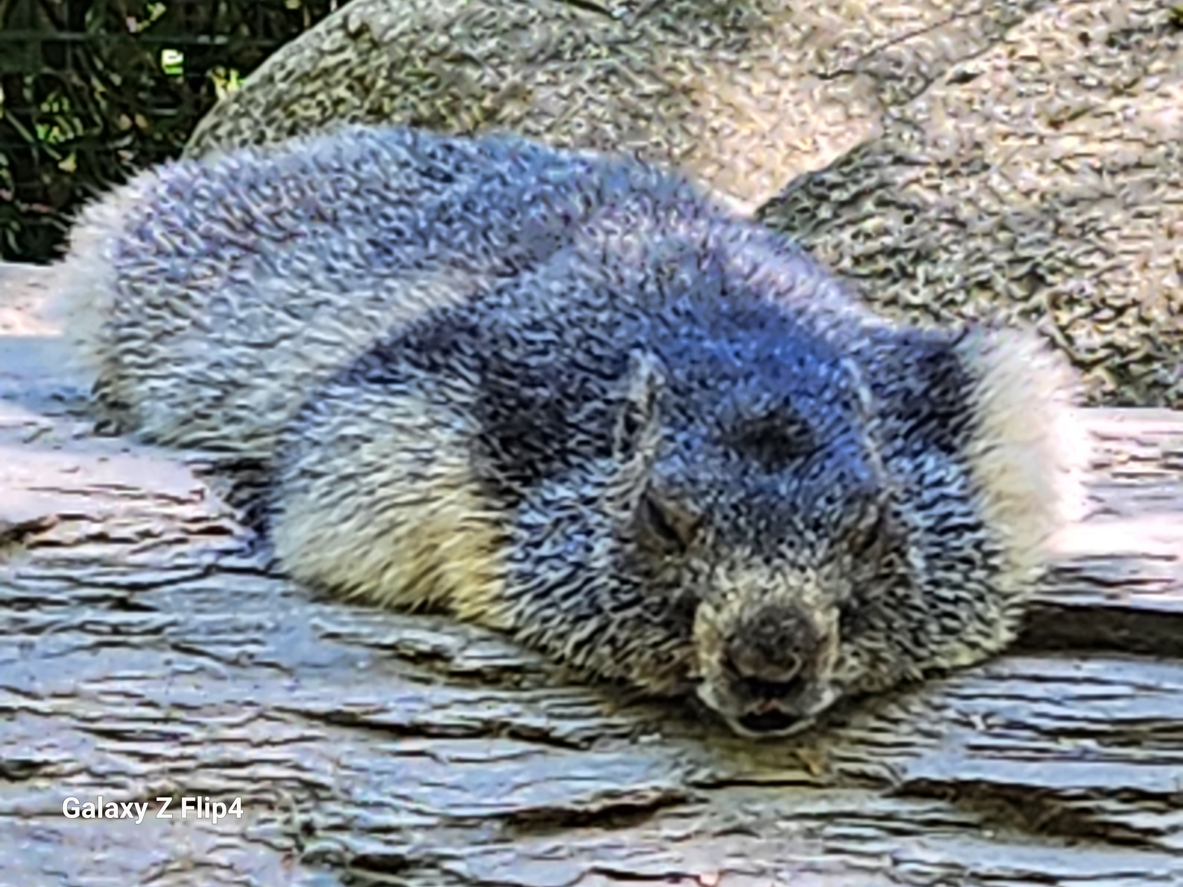 Photo n° 6 de l'avis de pascal.h fait le 02/05/2023 à 19:13