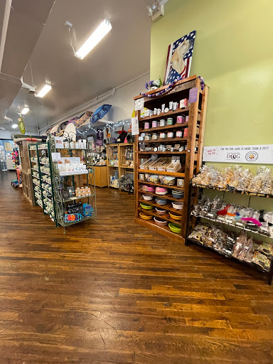 Pet Store «Reigning Cats & Dogs», reviews and photos, 219 E Davis St, Culpeper, VA 22701, USA