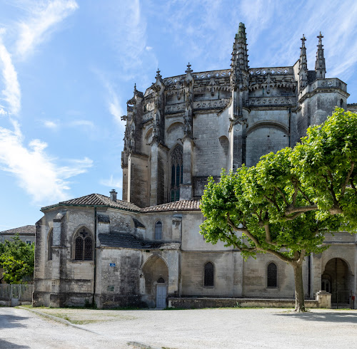 attractions Cathédrale Saint-Vincent Viviers