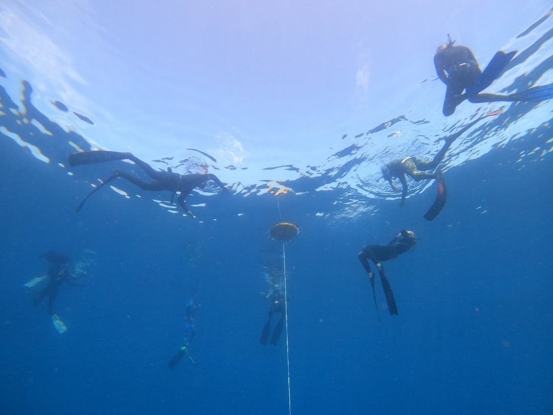 FREEDIVING SOUTH AFRICA