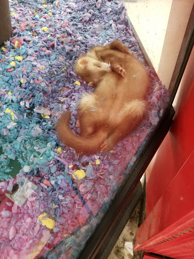 Pet Supply Store «Petco Animal Supplies», reviews and photos, 2350 Central Park Ave, Yonkers, NY 10710, USA