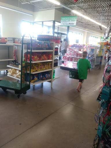 Dollar Store «Dollar Tree», reviews and photos, 918 E New York St #130, Aurora, IL 60505, USA
