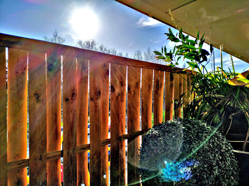 Información y opiniones sobre La Pelu D Chuspa de Santander