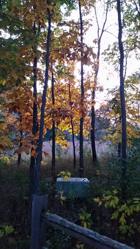 Nature Preserve «Eliason Nature Reserve», reviews and photos, 9501 Shaver Rd, Portage, MI 49024, USA