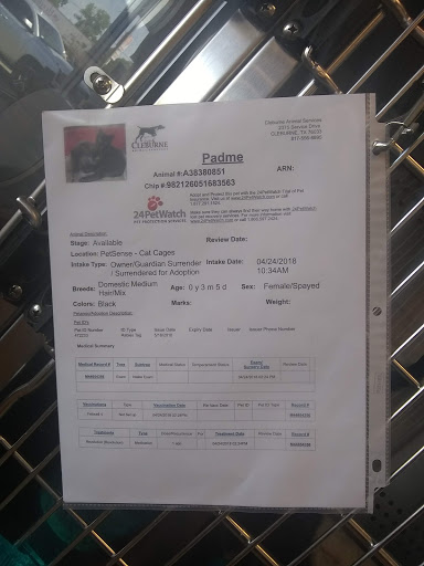 Pet Supply Store «Petsense Cleburne», reviews and photos, 1301 W Henderson St, Cleburne, TX 76033, USA