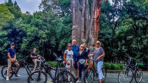 ✅Foodhoodmx✅ Bike Tour for Foodies in Mexico-City /Small Groups