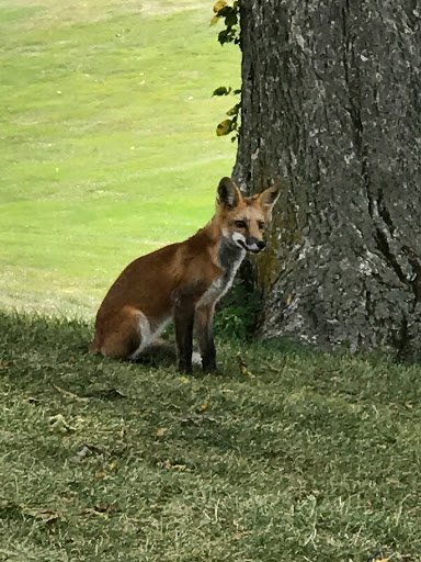 Golf Course «Woodland Hills Golf Course», reviews and photos, 620 NE 66th Ave, Des Moines, IA 50313, USA