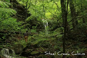 Steel Creek Cabins, LLC image