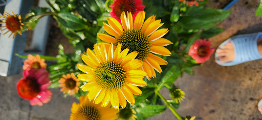 Home Improvement Store «The Home Depot», reviews and photos, 289 S Broadway, Salem, NH 03079, USA