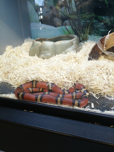 Pet Store «Super Pets», reviews and photos, 1807 E Chapman Ave, Orange, CA 92867, USA