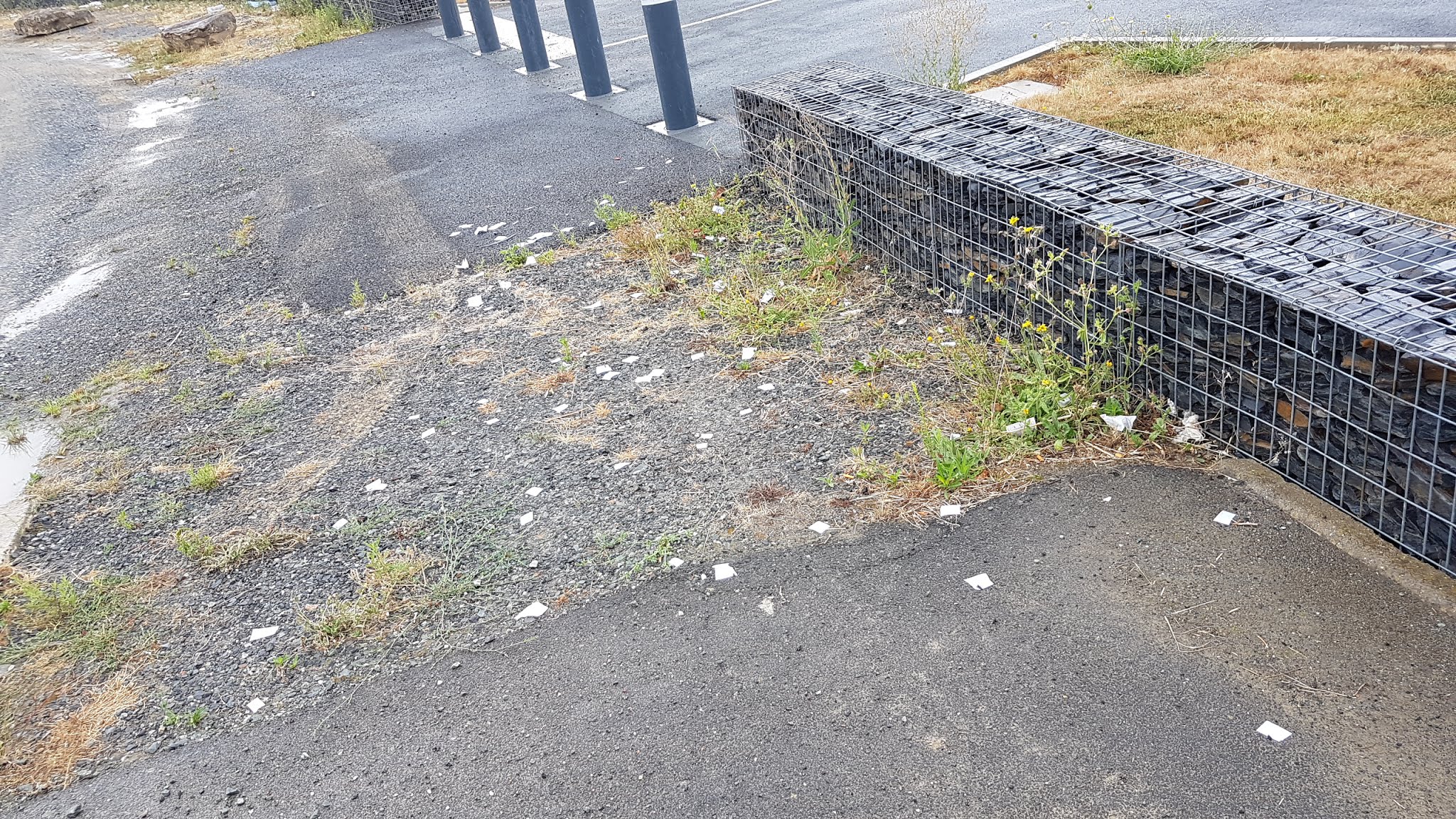 Photo n° 1 de l'avis de Didier.h fait le 06/08/2019 à 15:50