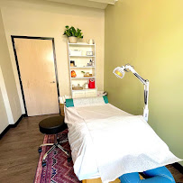 Wise Ways Acupuncture, Dr. Lera Gershevich, LAc - Photo 3 - Car repair in Chicago, IL, Chicago