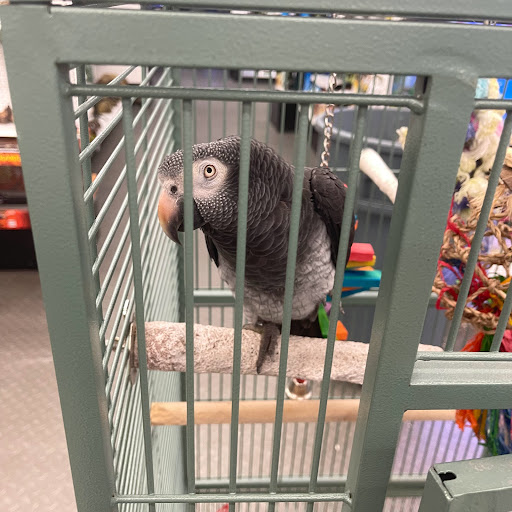 Pet Store «B & B Pet Stop, Inc.», reviews and photos, 5035 Cottage Hill Rd, Mobile, AL 36609, USA