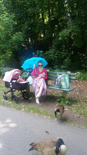 Park «Bronx River Park», reviews and photos, 2 Bronx River Pkwy, Scarsdale, NY 10583, USA