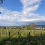 Photo n°2 de l'avis de Sven.e fait le 11/05/2019 à 07:50 sur le  Heubergturm / zum Heuberg à Ettenheim