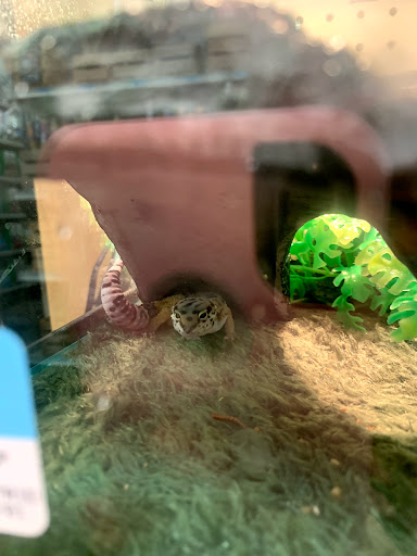 Pet Supply Store «Petsense Clemmons», reviews and photos, 4186 Clemmons Rd, Clemmons, NC 78012, USA