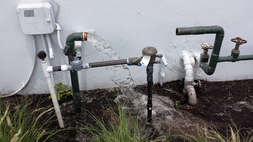 Event Venue «Gallery of Amazing Things», reviews and photos, 481 S Federal Hwy, Dania Beach, FL 33004, USA