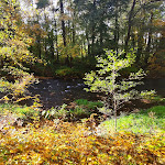 Photo n°2 de l'avis de 1946karl. fait le 29/10/2021 à 13:21 sur le  Landessportschule Bad Blankenburg à Bad Blankenburg