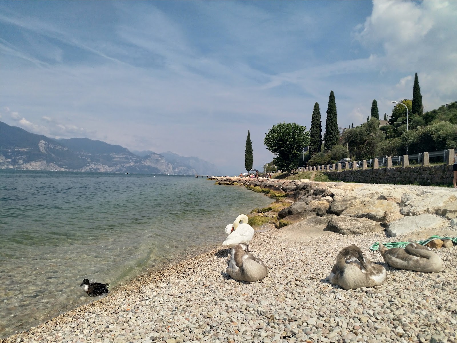 Foto von Torri del Benaco Beach wilde gegend