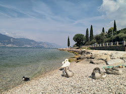 Torri del Benaco Beach'in fotoğrafı vahşi alan