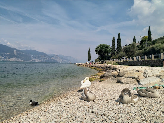 Torri del Benaco Beach
