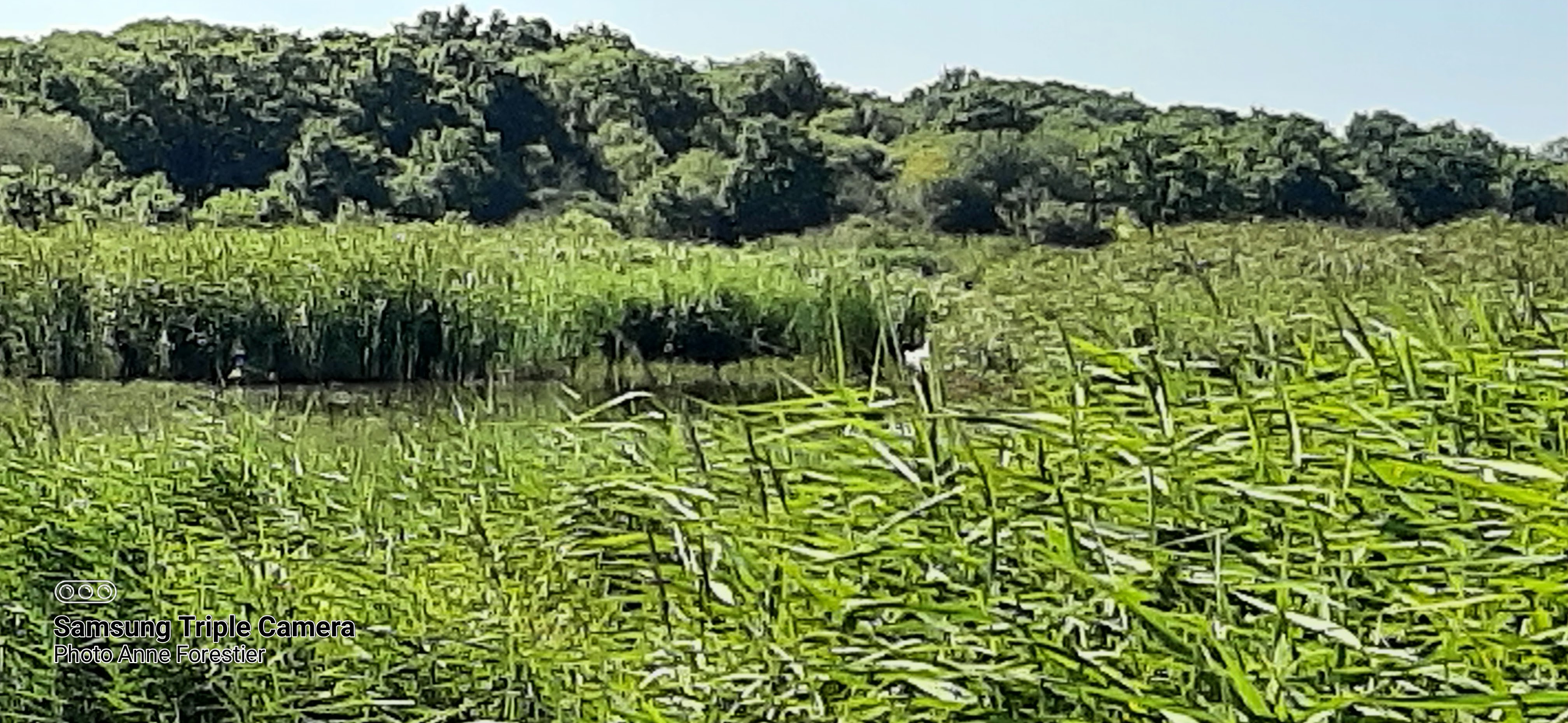 Photo n° 2 de l'avis de Anne.O fait le 13/08/2021 à 13:21