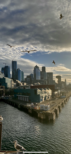 Art Museum «Tacoma Art Museum», reviews and photos, 1701 Pacific Ave, Tacoma, WA 98402, USA