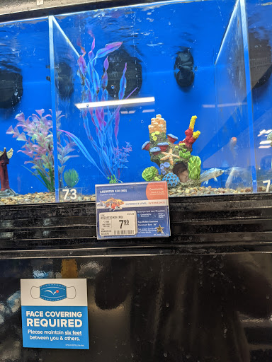 Pet Supply Store «PetSmart», reviews and photos, 211 W Alexander St A, Plant City, FL 33563, USA