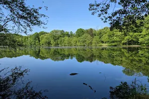 Ramapo Valley County Reservation image