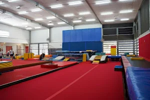 Noosa Gymnastics Club image
