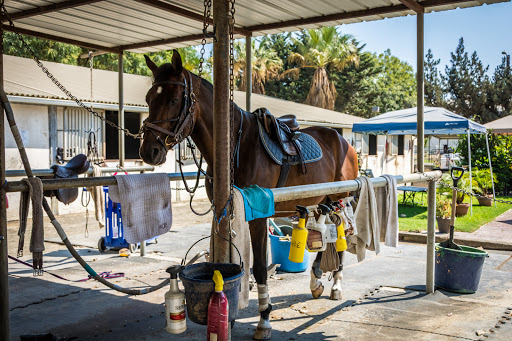 Horse riding school Oceanside