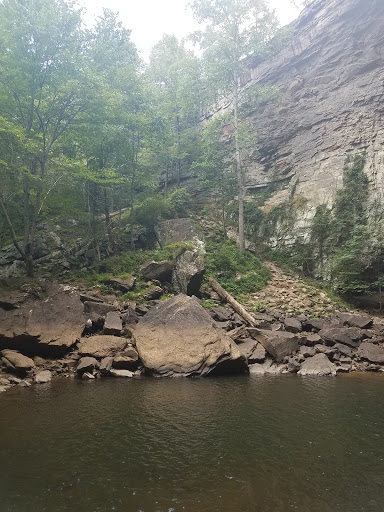 Tourist Attraction «Ozone Falls», reviews and photos, 14563 TN-1, Rockwood, TN 37854, USA