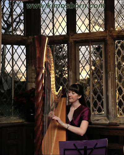 Heather Wrighton - Professional Harpist and Harp Teacher, Worthing, West Sussex - Worthing