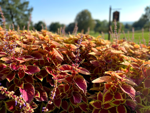 Golf Club «Hyperion Field Club», reviews and photos, 7390 NW Beaver Dr, Johnston, IA 50131, USA