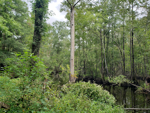 National Park «Moores Creek National Battlefield», reviews and photos, 40 Patriots Hall Dr, Currie, NC 28435, USA