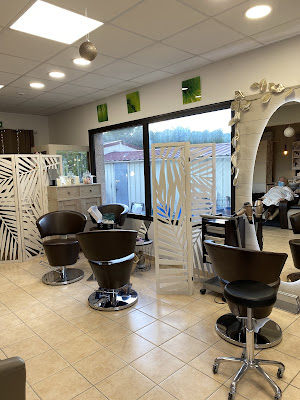 Salon Alice V à Saint-Gély-du-Fesc