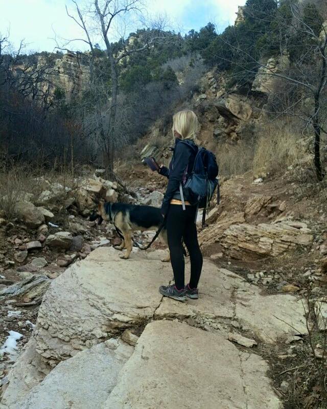 Rocky Mountain Dog Walkers