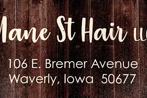 Mane St. Hair LLC image