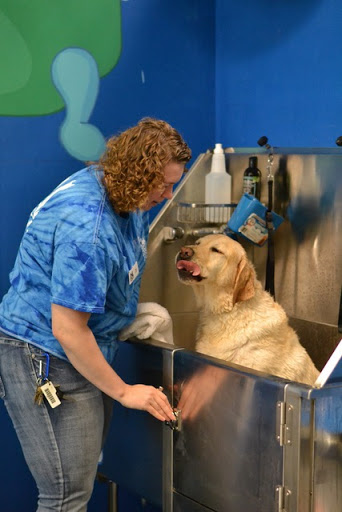 Pet Store «The Pet Place», reviews and photos, 240 Shadowline Dr, Boone, NC 28607, USA